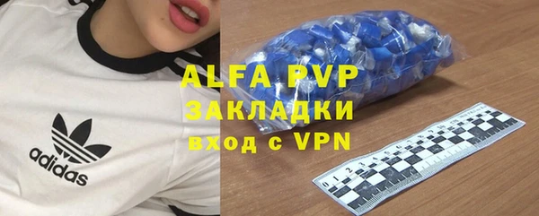 сатива Алзамай
