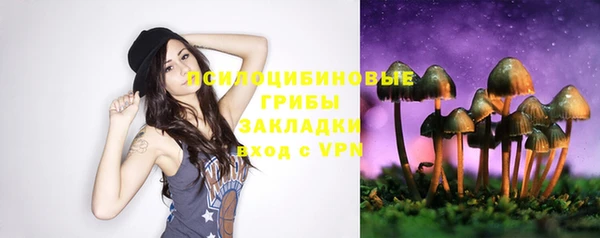 а пвп мука Алексеевка