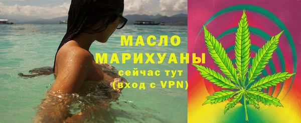 молекула духа Михайлов