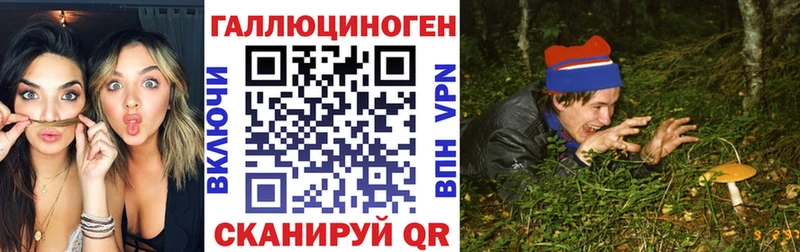 сколько стоит  гидра вход  Галлюциногенные грибы мухоморы  Катайск 